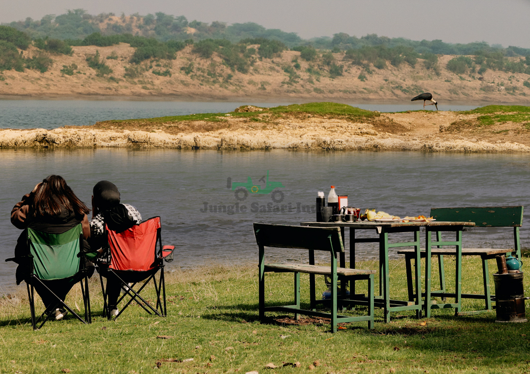 Chambal Safari Option 3